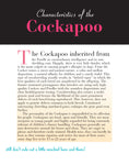 Load image into Gallery viewer, Cockapoo

