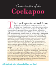 Cockapoo