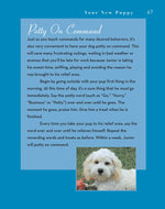 Cockapoo
