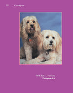 Cockapoo