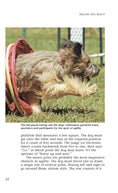 Load image into Gallery viewer, Enjoying Dog Agility
