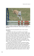 Load image into Gallery viewer, Enjoying Dog Agility
