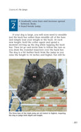 Load image into Gallery viewer, Enjoying Dog Agility
