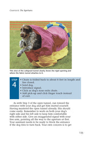 Enjoying Dog Agility