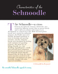 Load image into Gallery viewer, Schnoodle
