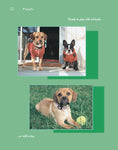 Load image into Gallery viewer, Puggle
