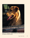 Load image into Gallery viewer, Retriever Madness
