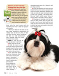 Load image into Gallery viewer, Shih Tzu
