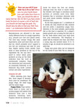 Load image into Gallery viewer, Shih Tzu
