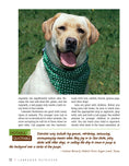 Load image into Gallery viewer, Labrador Retriever
