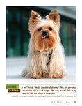 Load image into Gallery viewer, Yorkshire Terrier
