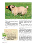 Load image into Gallery viewer, Pug
