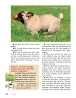 Pug