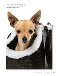 Load image into Gallery viewer, Chihuahua
