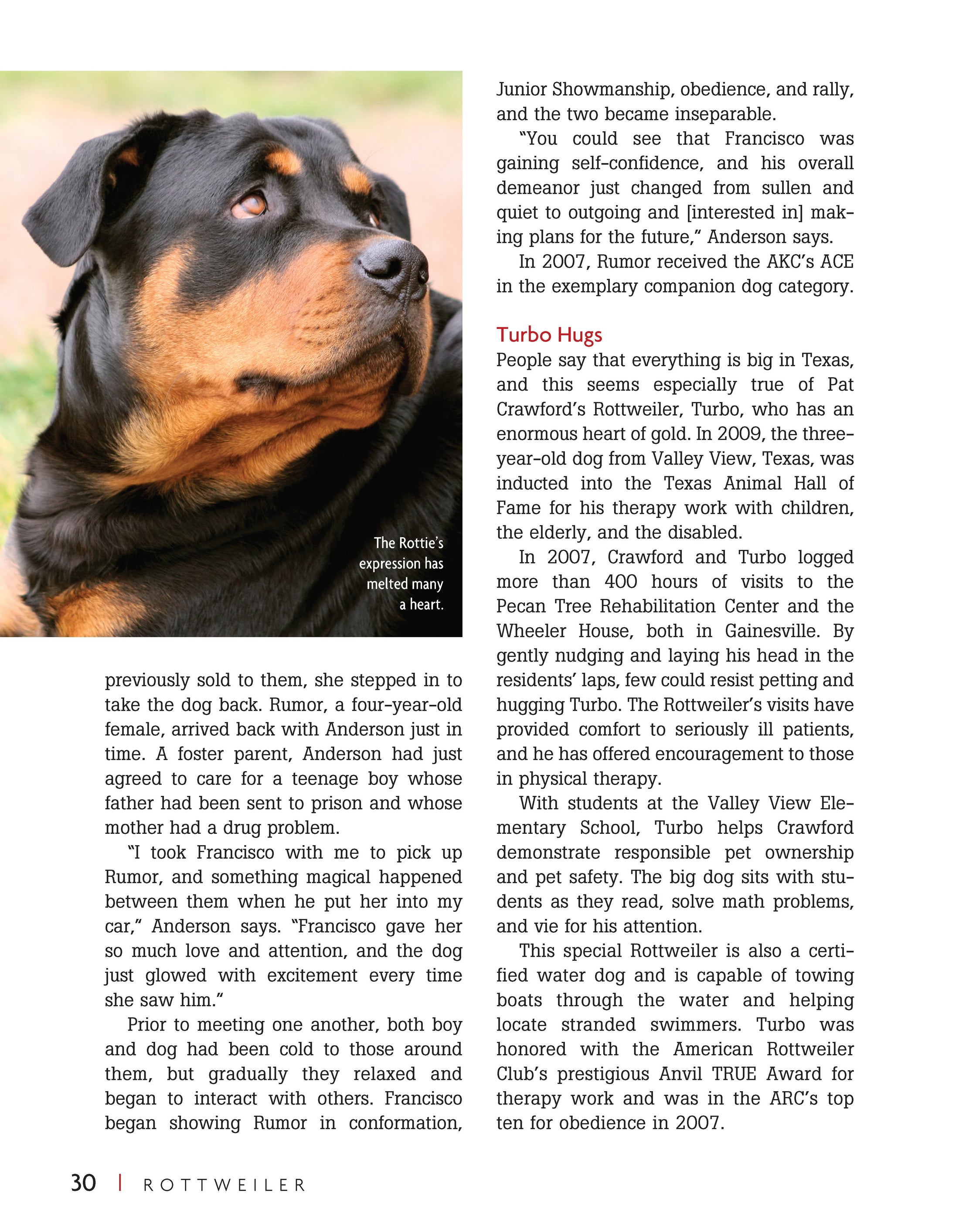 Rottweiler