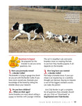 Load image into Gallery viewer, Border Collie | Hardback
