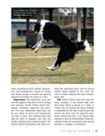 Load image into Gallery viewer, Border Collie | Hardback
