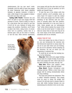 Puppy Training (SC)