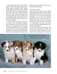Load image into Gallery viewer, Australian Shepherd Dog
