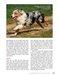 Load image into Gallery viewer, Australian Shepherd Dog
