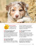 Load image into Gallery viewer, Australian Shepherd Dog
