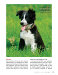 Load image into Gallery viewer, Border Collie | Paperback
