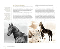 Load image into Gallery viewer, Hollywood Hoofbeats
