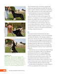 Load image into Gallery viewer, The Rescued Dog Problem Solver
