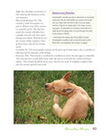 Load image into Gallery viewer, Dr. Khalsa's Natural Dog
