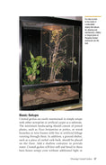 Load image into Gallery viewer, Crested Geckos
