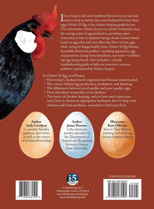 Chicken and Egg