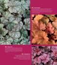 Load image into Gallery viewer, Essential Perennials for Every Garden
