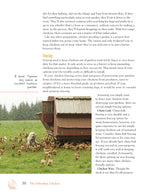 The Suburban Chicken