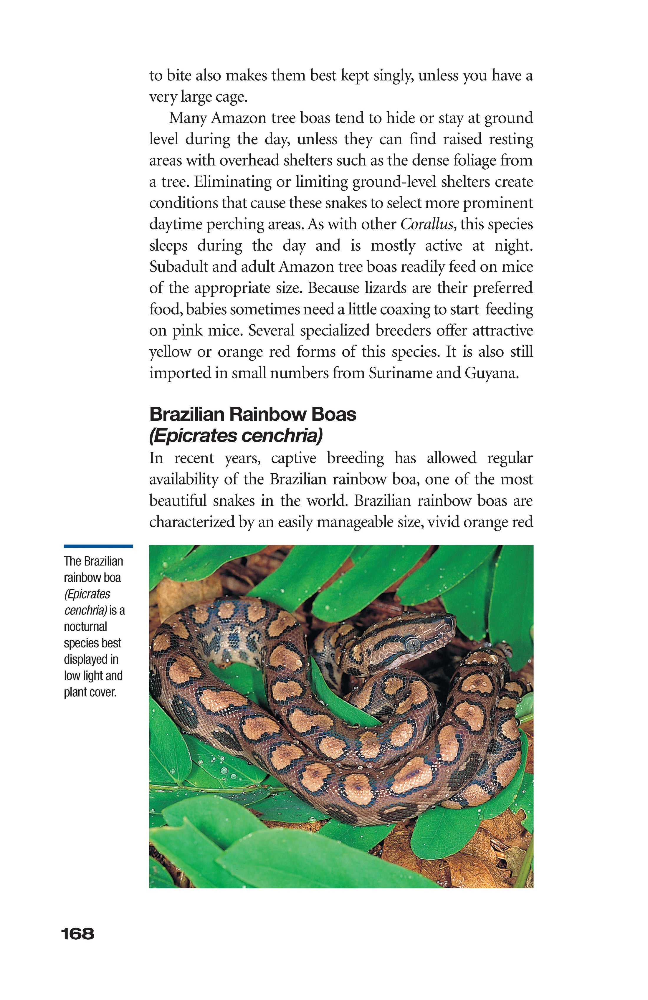 The Art of Keeping Snakes