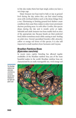 The Art of Keeping Snakes
