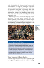 The Art of Keeping Snakes