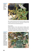 Load image into Gallery viewer, The Art of Keeping Snakes
