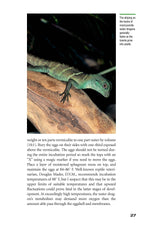 Green Water Dragons