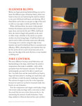 Load image into Gallery viewer, The Home Blacksmith
