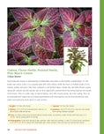 Load image into Gallery viewer, Houseplant Handbook
