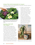 Load image into Gallery viewer, Houseplant Handbook
