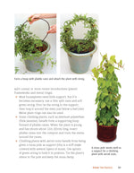 Houseplant Handbook