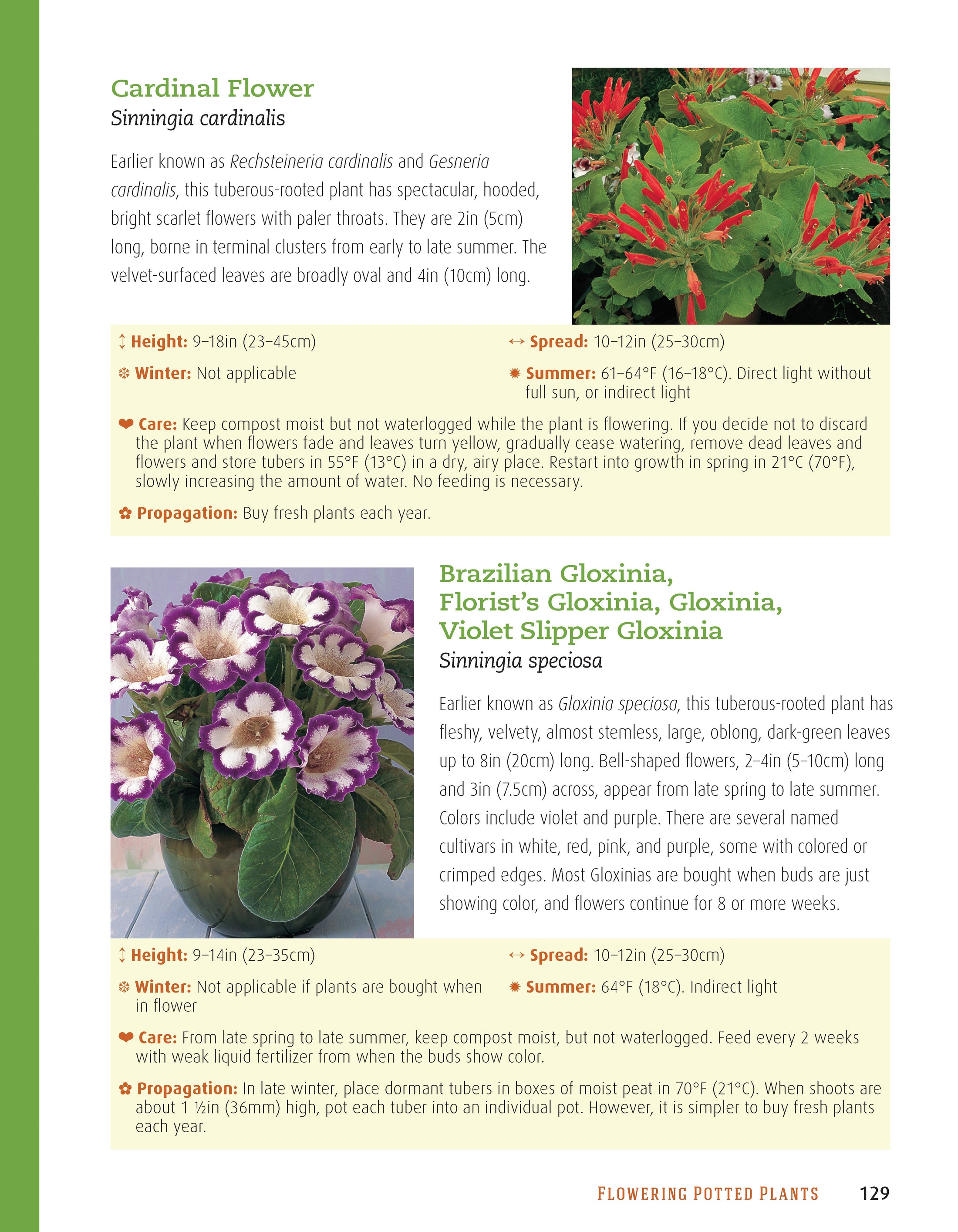 Houseplant Handbook