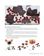 All-in-One Guide to Cake Decorating