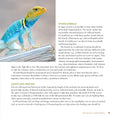 Load image into Gallery viewer, The Leopard Gecko Manual
