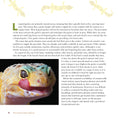 Load image into Gallery viewer, The Leopard Gecko Manual
