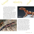 Load image into Gallery viewer, The Leopard Gecko Manual
