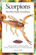 Load image into Gallery viewer, Scorpions (Advanced Vivarium Systems)
