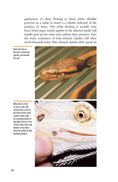 Load image into Gallery viewer, Understanding Reptile Parasites (Advanced Vivarium Systems)
