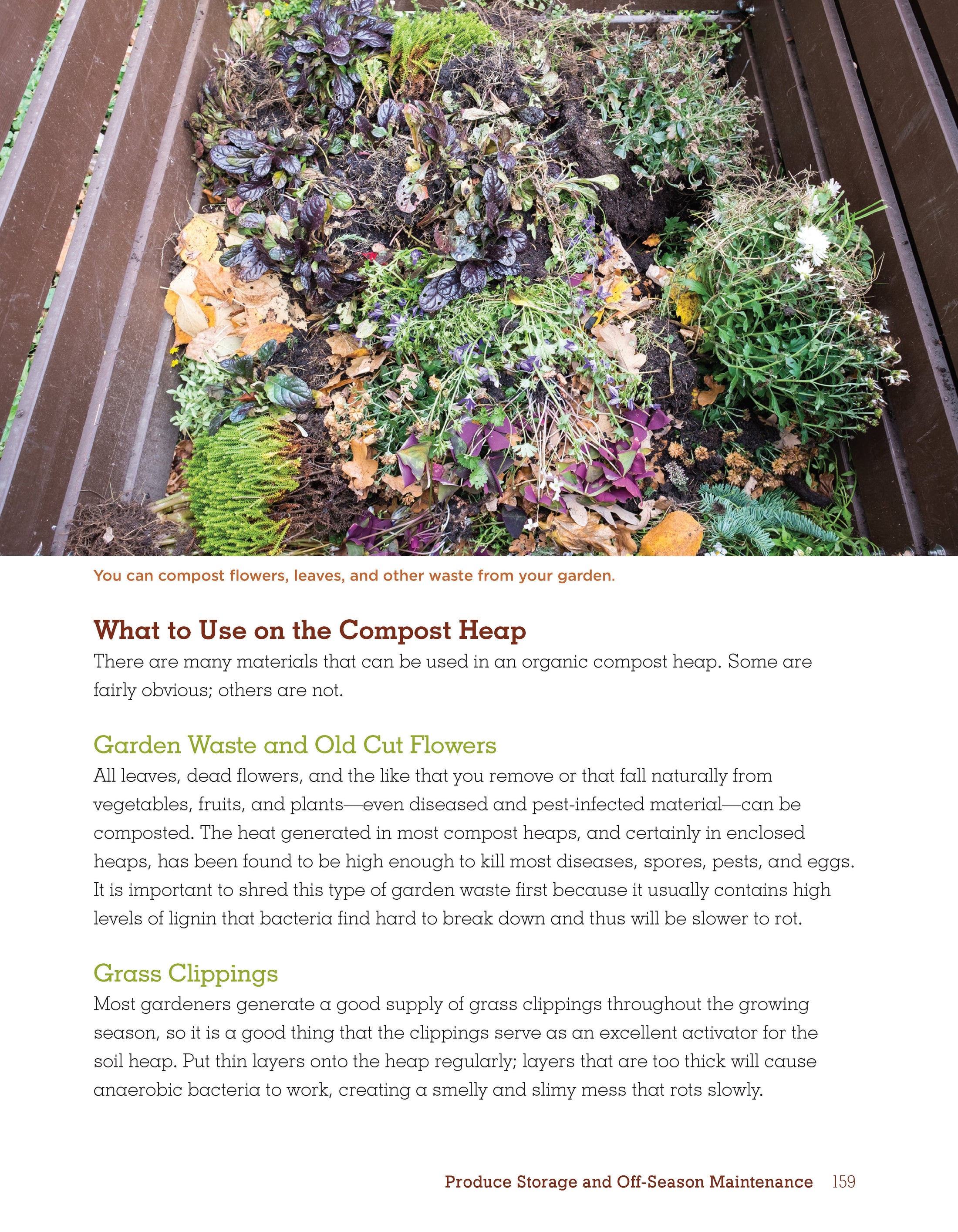 Organic Gardening Techniques